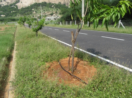 1) Li Id 252 - Drinage Road and Plantation Arch.JPG